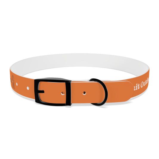 Pursuit Dog Collar - Gray