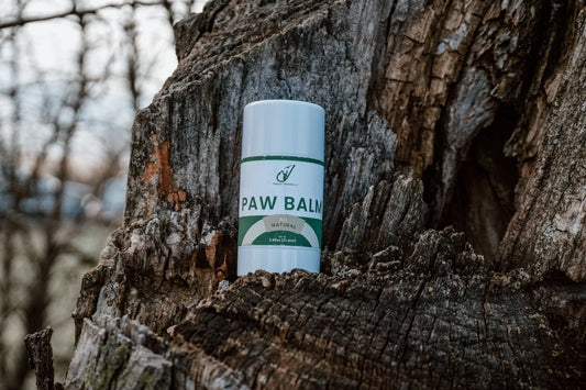 Paw Balm