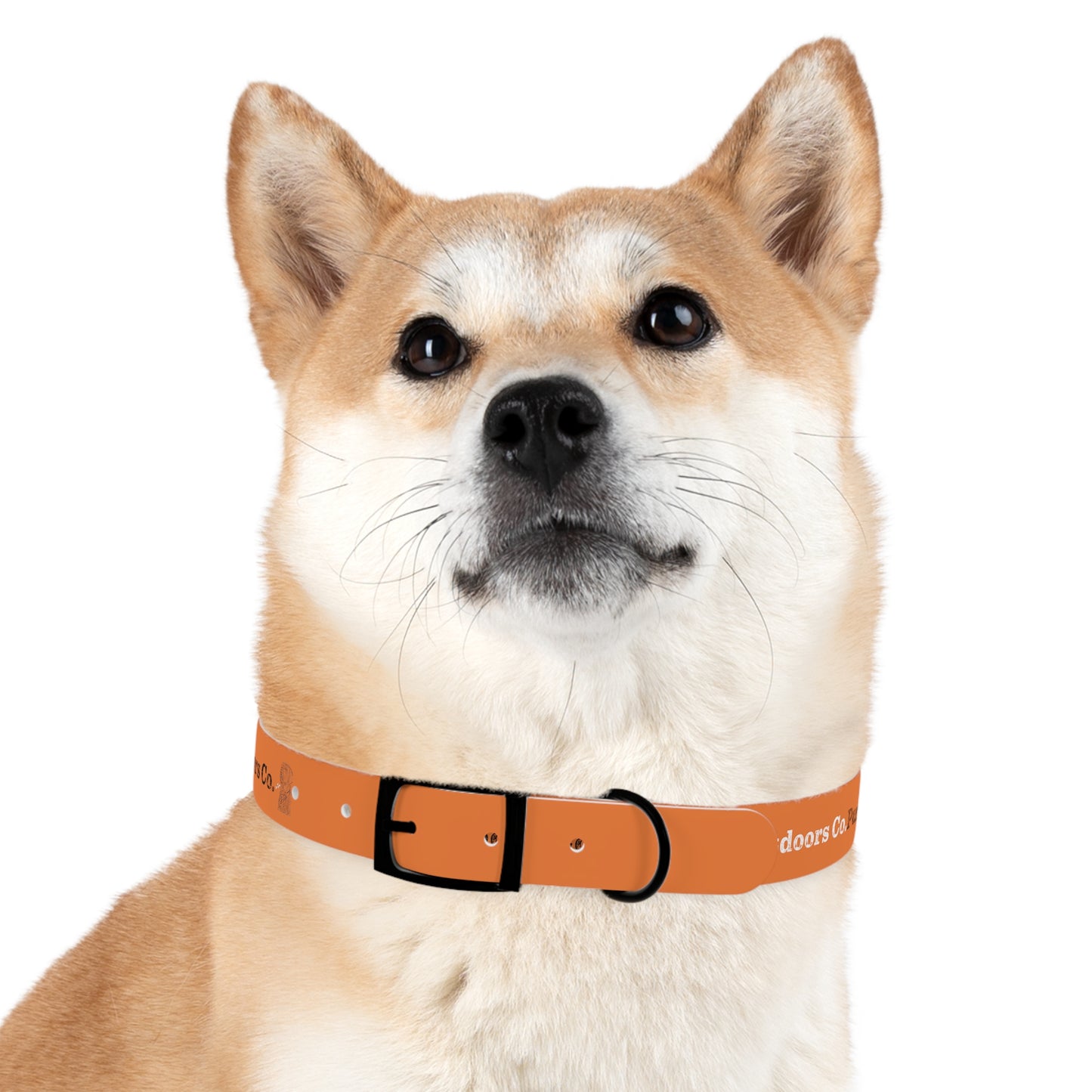 Pursuit Dog Collar - Gray