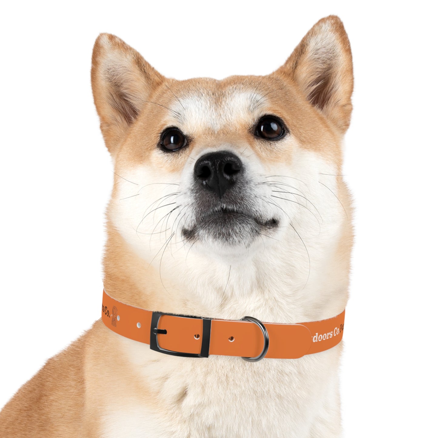 Pursuit Dog Collar - Gray