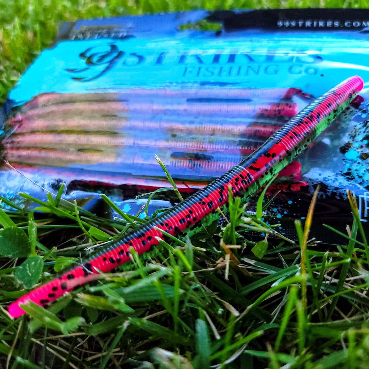 Watermelon Core Shot 5" Stick Worm (7pk)