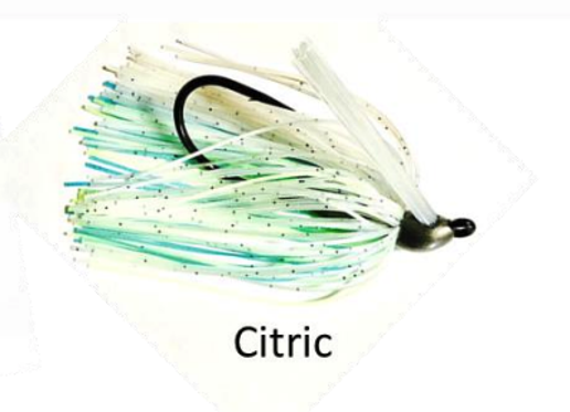 Queen Tungsten Swim Jig 3/8oz